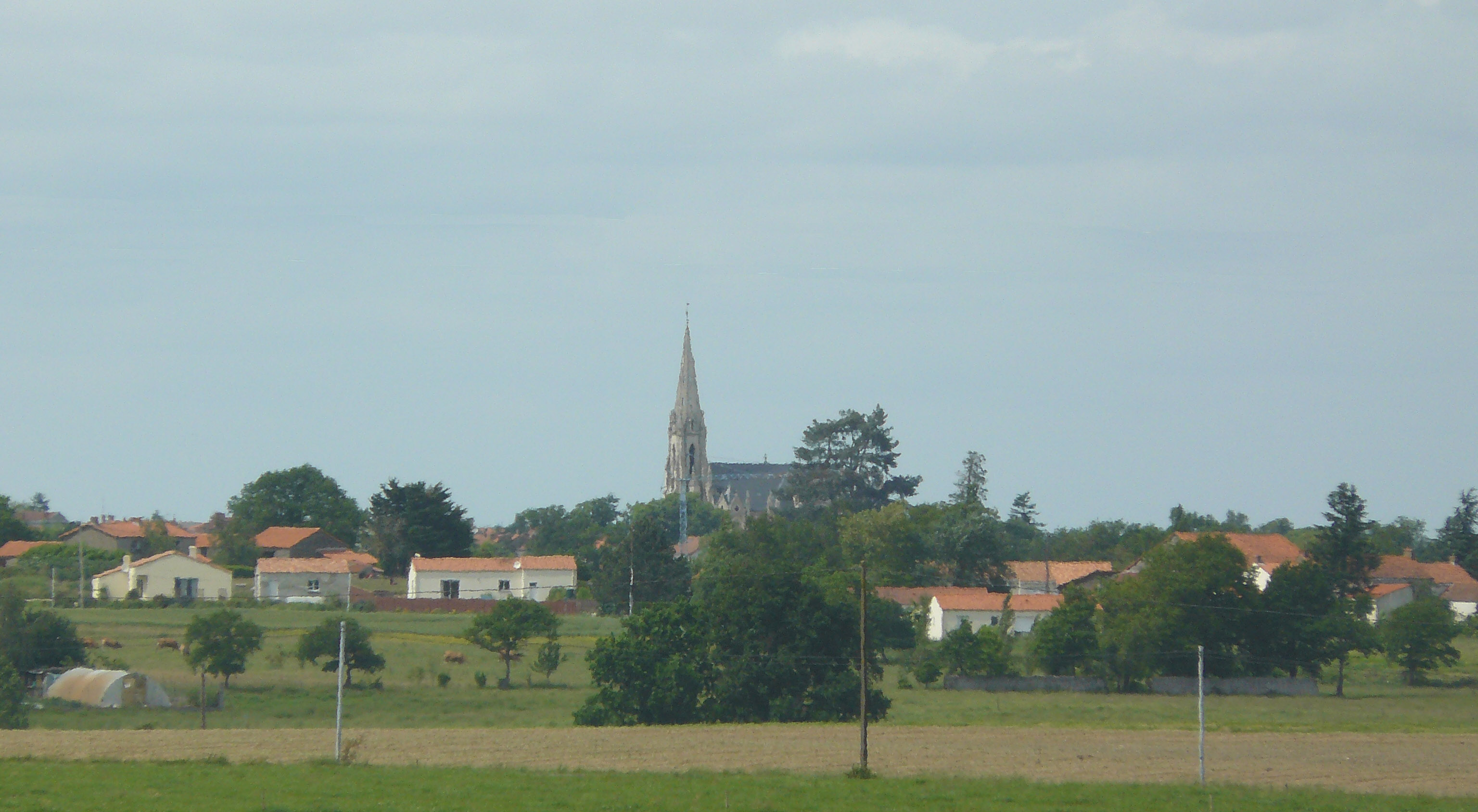 Aigrefeuille-sur-maine