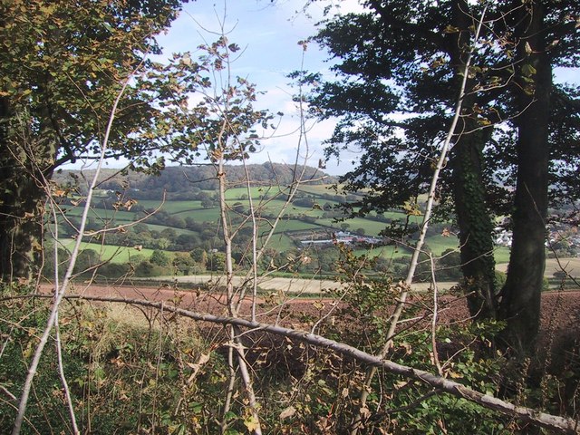 File:Fields by Bulverton Hill - geograph.org.uk - 1000494.jpg