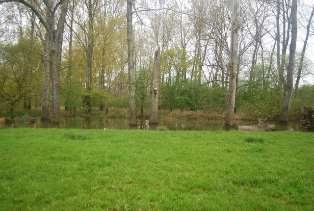 File:Flooded woodland by the River Arun - geograph.org.uk - 3139236.jpg