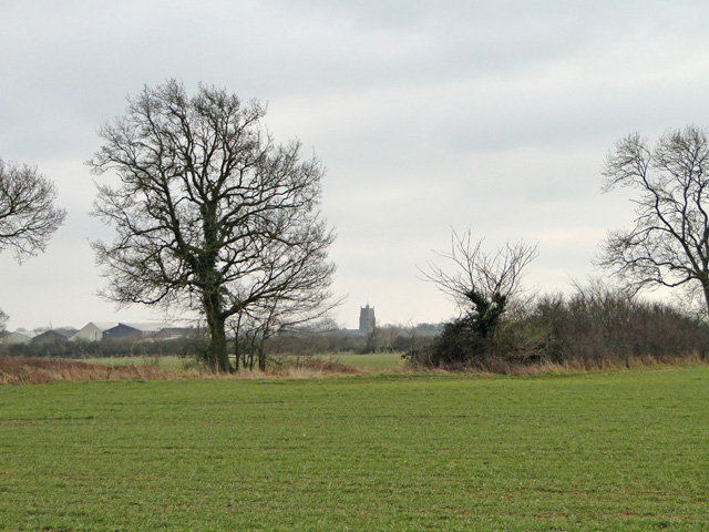 Hedgerow between fields with Stradbroke church in the distance - geograph.org.uk - 4341313