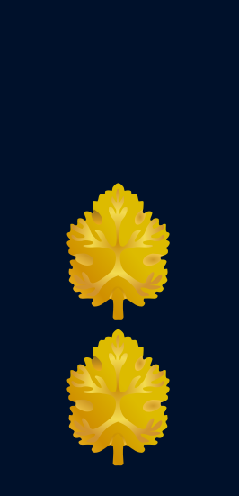 File:IDF Navy sgan aluf.png