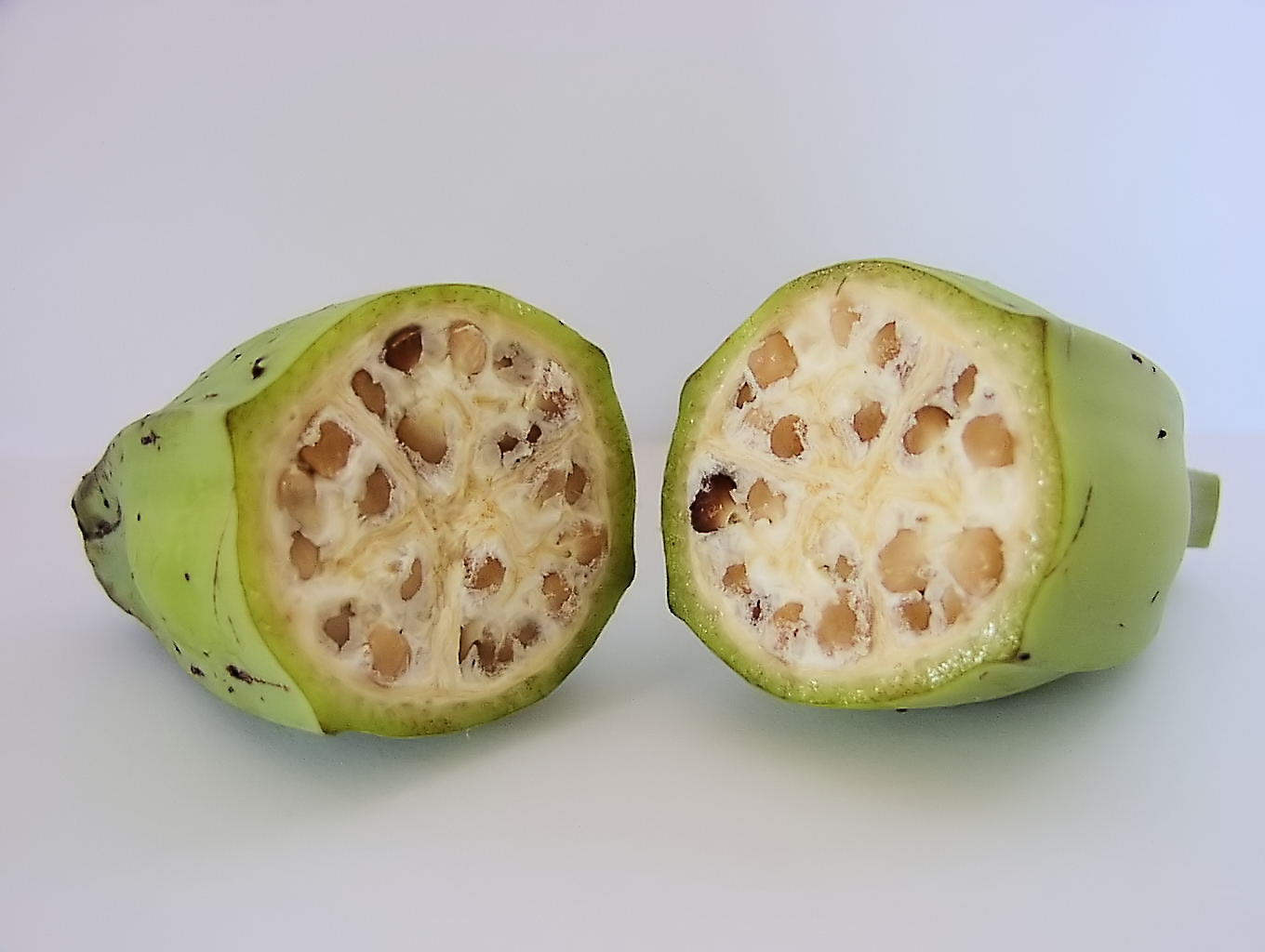 file-inside-a-wild-type-banana-jpg-wikipedia