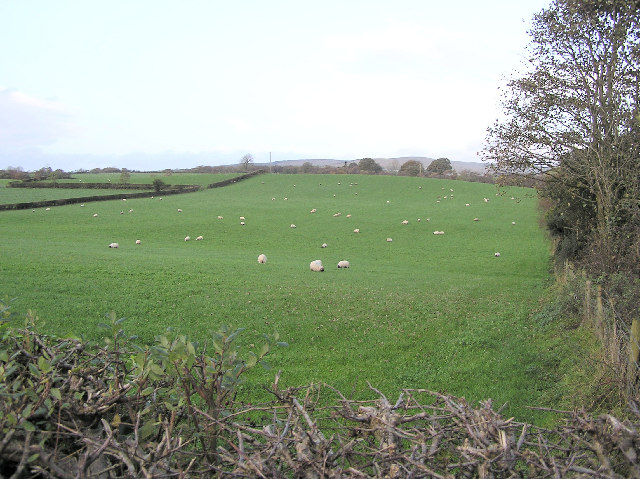 File:Killybrack Townland, Omagh - geograph.org.uk - 72739.jpg