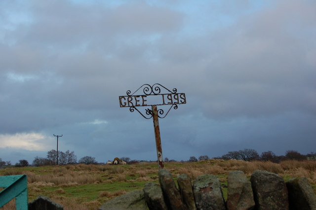 File:Moorland near Greenrigg farm - geograph.org.uk - 302414.jpg