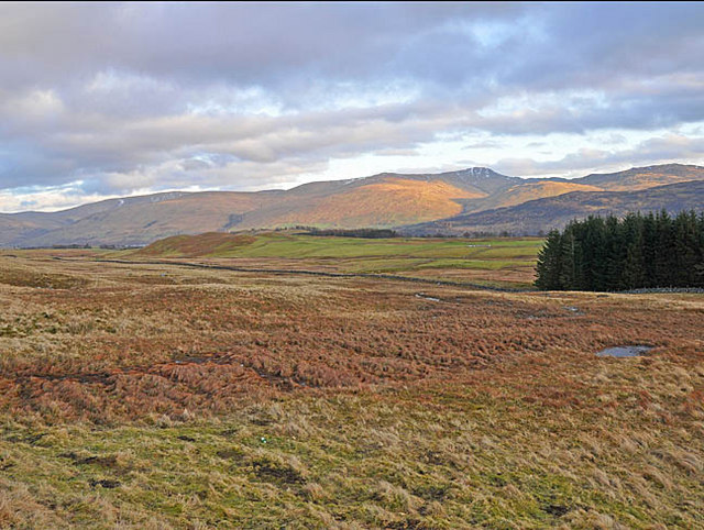 File:Moorland pasture near Ben Lawers - geograph.org.uk - 681940.jpg