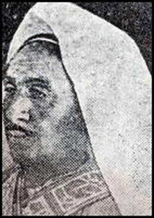 <span class="mw-page-title-main">Muhammad ibn Ali al-Idrisi</span> Emir of sabya