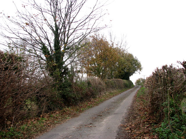 File:Neatly trimmed hedgerows - geograph.org.uk - 615043.jpg