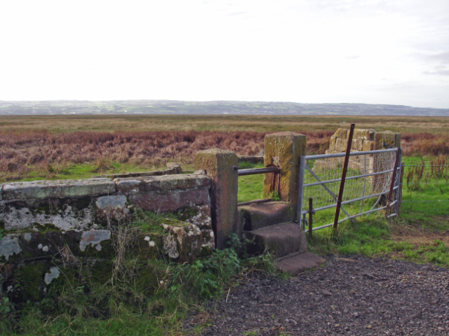 Neston - Dee marshes at Old Quay - geograph.org.uk - 271983