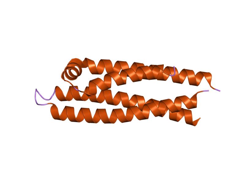 File:PDB 1or3 EBI.jpg