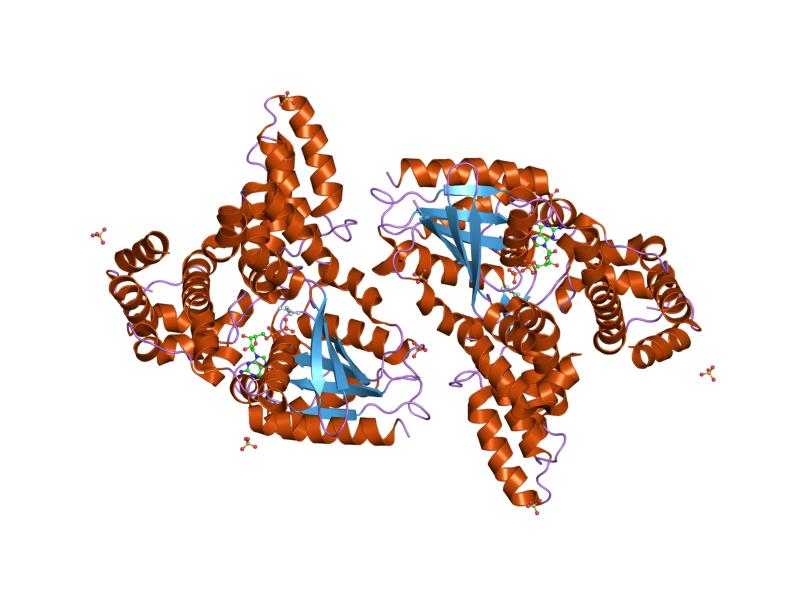 File:PDB 2ik8 EBI.jpg