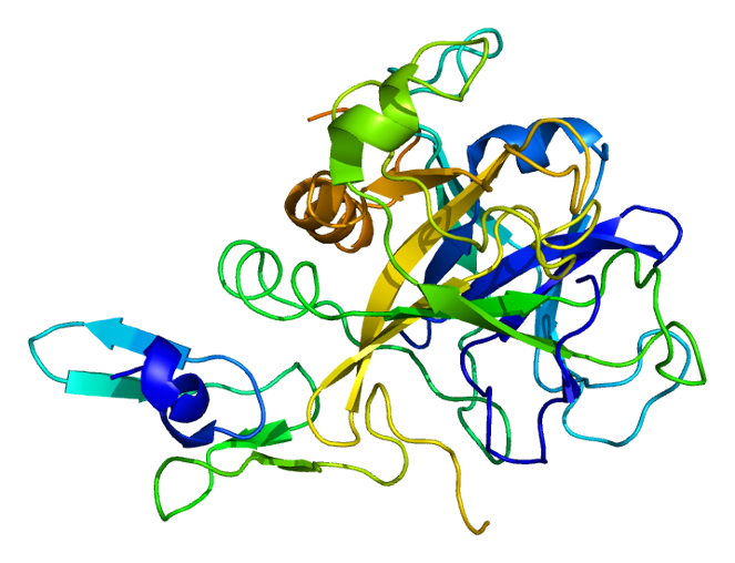 Protocollo Fattore X - KN