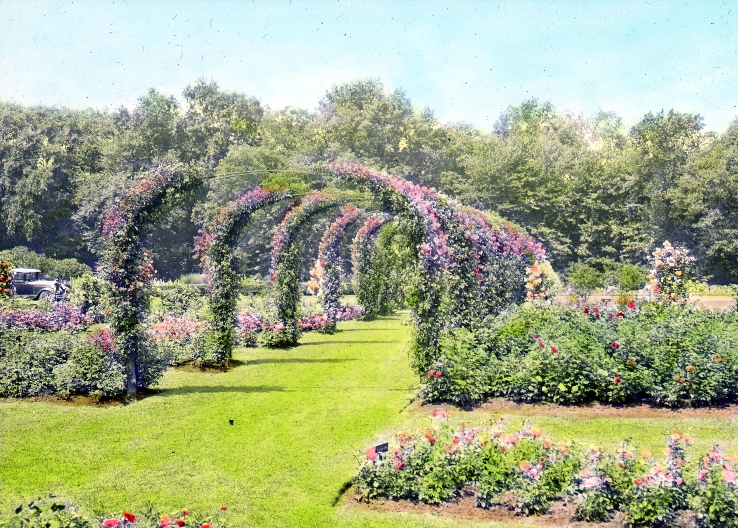 Сад элизабет. Нюрнберг розовые сады. Sweet Spring Garden Elizabeth. Роуз Гарден в каком фильме.