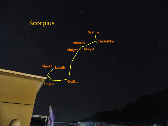 File:Scorpius taken in Longyan.jpg