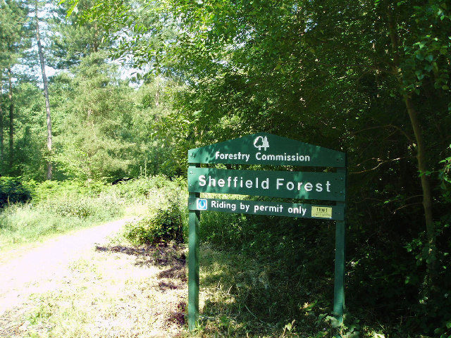 Sheffield Forest - geograph.org.uk - 20976