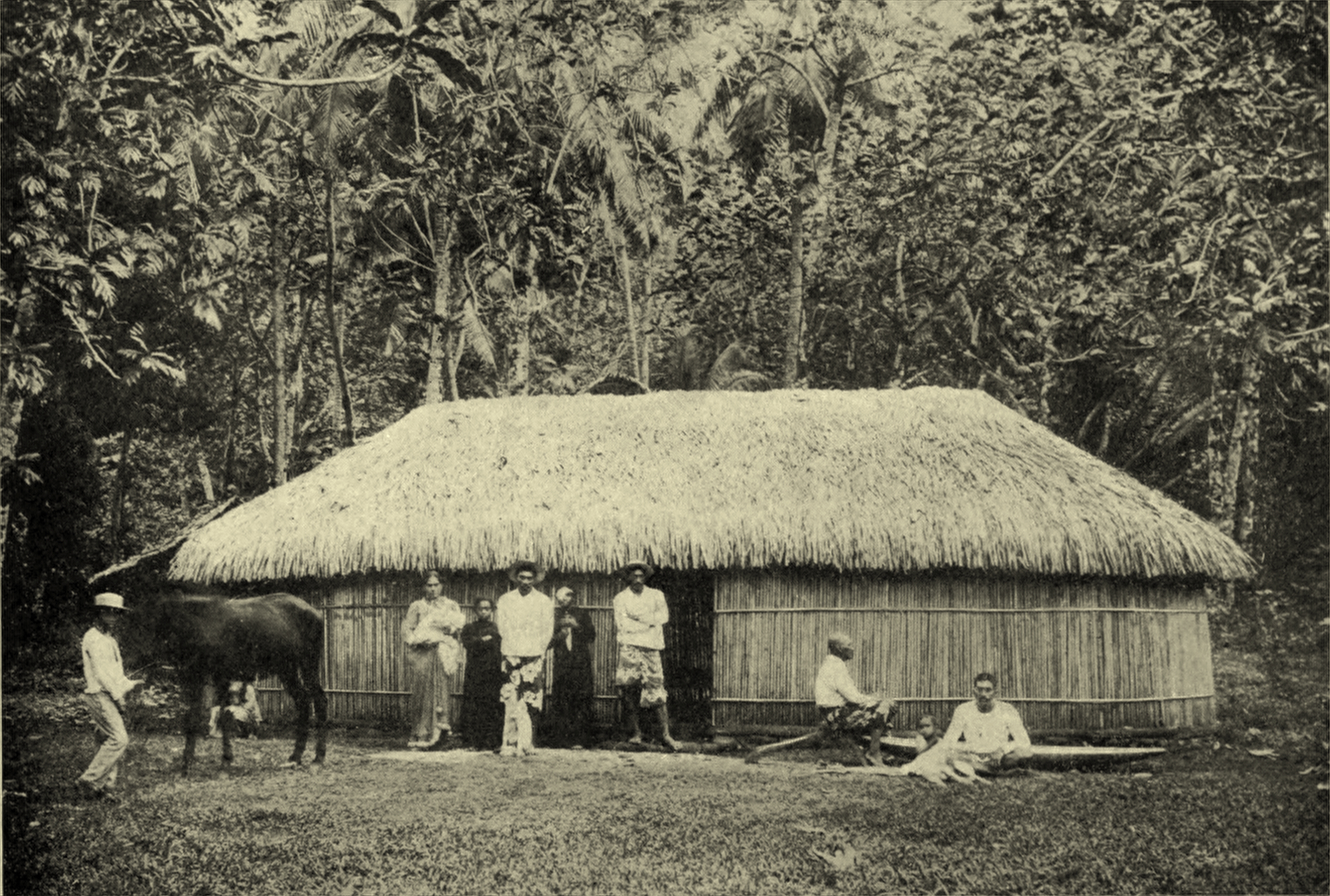 Tahitian_Bamboo_House%2C_c