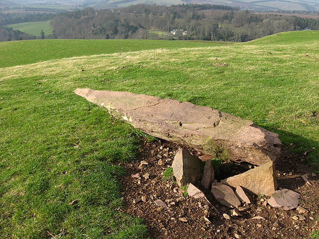 The standing stone on Bemersyde Hill - geograph.org.uk - 686045
