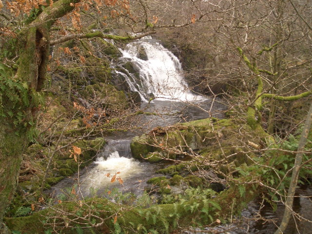 File:Thornthwaite Force - geograph.org.uk - 121523.jpg