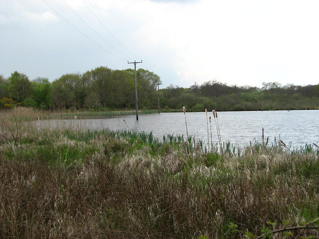 East Ruston Common