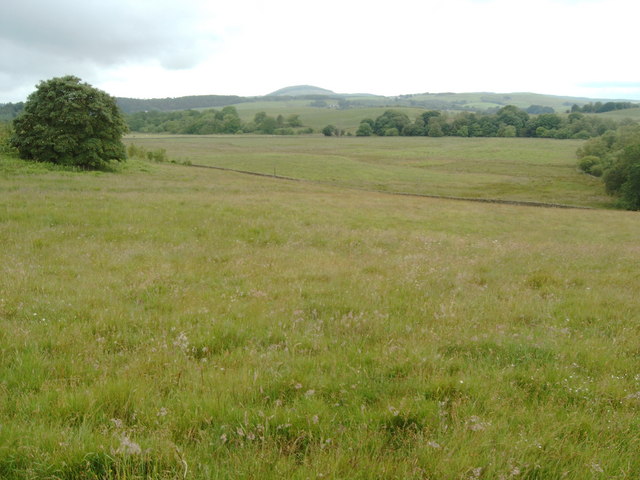 File:View toward Corsock from the settlement mound - geograph.org.uk - 486130.jpg