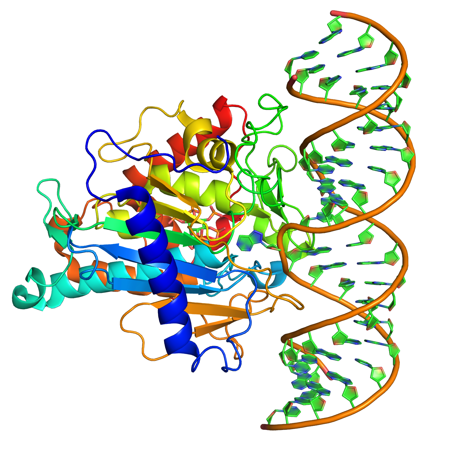 Рисунок рнк. ДНК. РНК вектор. ДНК рисунок биология. RNA на белом фоне.