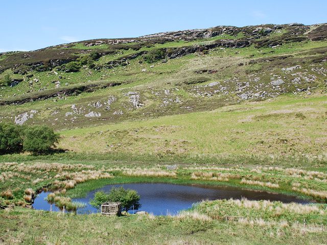 File:Artificial pond - geograph.org.uk - 1328562.jpg