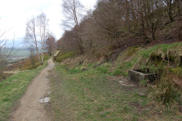 File:Cattle Trough^ - geograph.org.uk - 756984.jpg