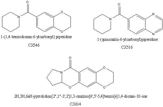 Cortex Pharmaceutical AMPAkines