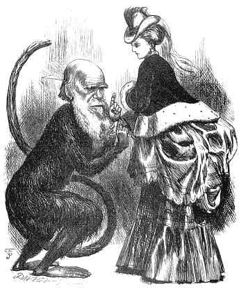 File:Darwin sexual caricature.gif