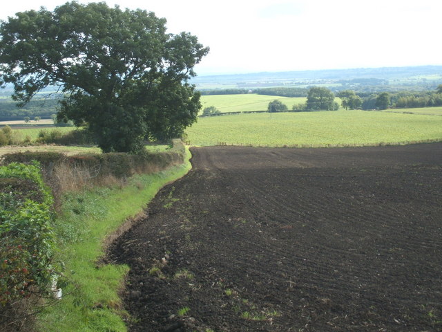 File:East Roughlea - geograph.org.uk - 248272.jpg