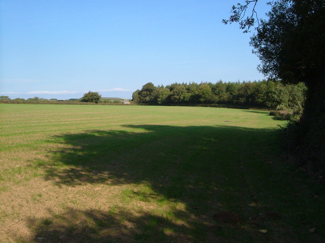 File:Field on Blackdown Hills - geograph.org.uk - 245052.jpg