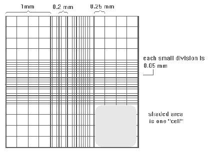 File:HaemocytometerISSLR.jpg