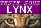 Lynx (web browser)