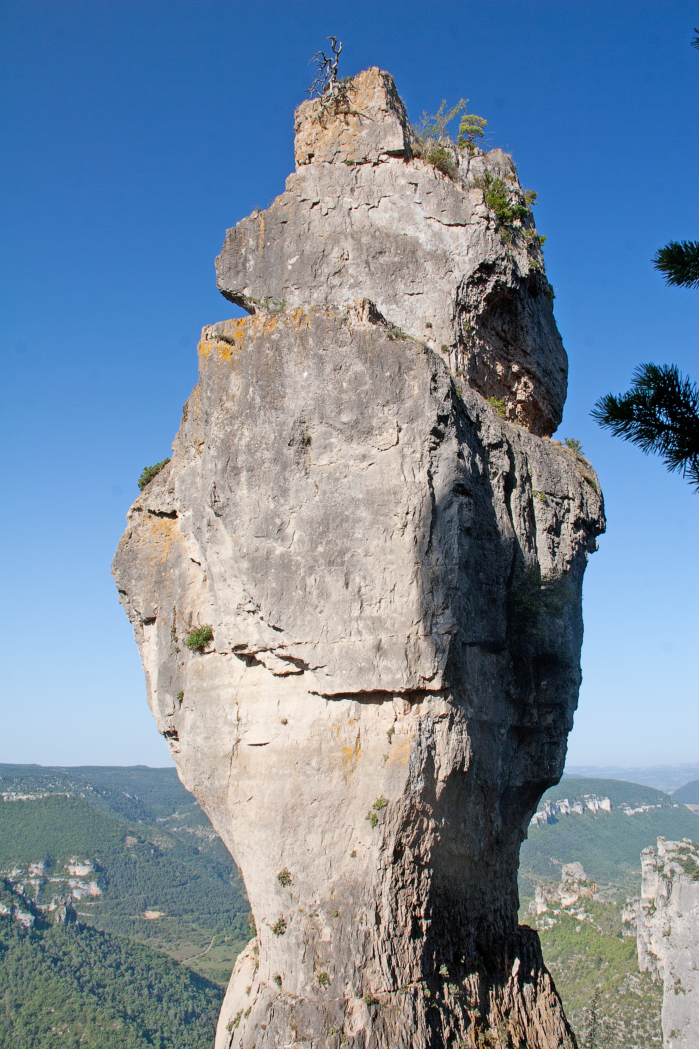 VASE DE CHINE  France Occitanie Lozère Le Rozier 48150