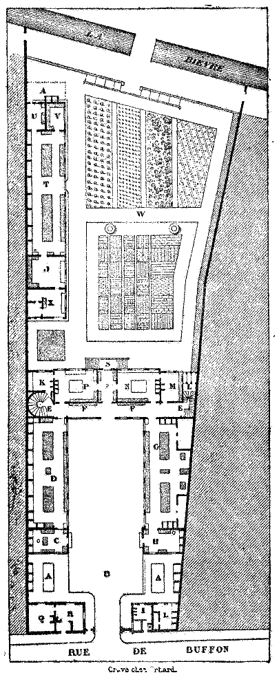 Lanature1873 Nouveaux Labos Museum Plan.png
