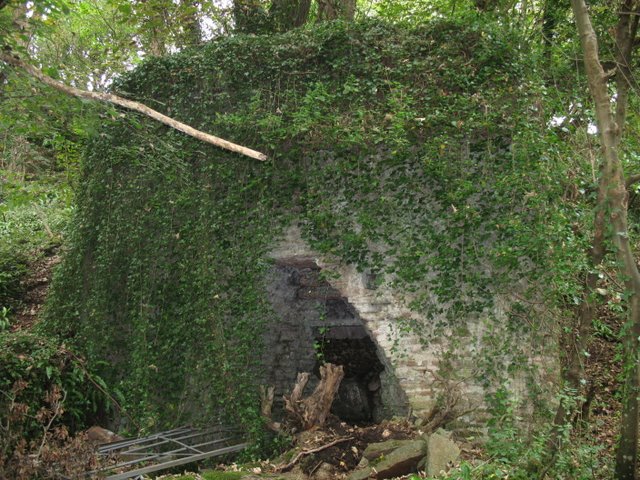 File:Lime Kiln in Biddlecombe - geograph.org.uk - 665136.jpg