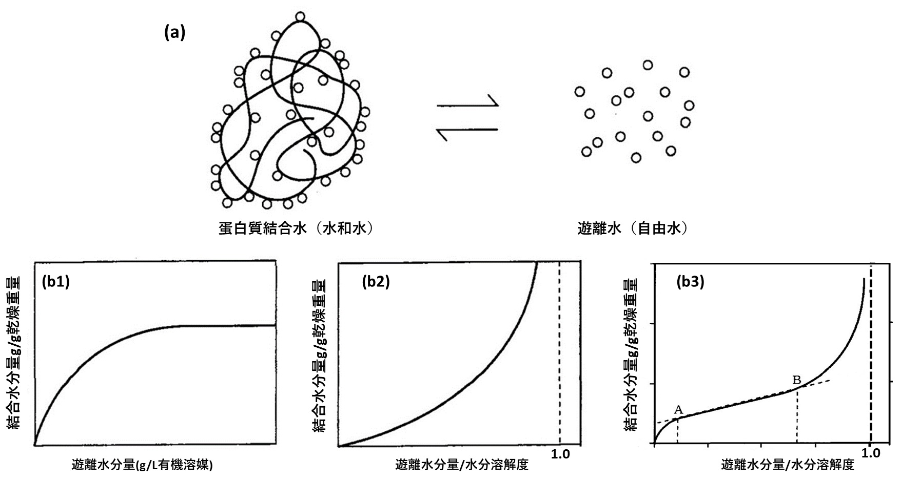 微水有機溶媒中に懸濁された粉末蛋白質に結合した水分子と遊離自由水分子との平衡 (a) 平衡の概念 (b1) 水と混和する有機溶媒の場合、(b2) 水と混和しない有機溶媒の合、 (b3) アルカン(alkane)の場合