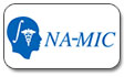 File:NAMIC icon.jpg