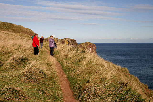 On the path to St Abb's Head - geograph.org.uk - 1523737