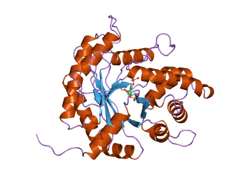 File:PDB 4ald EBI.jpg