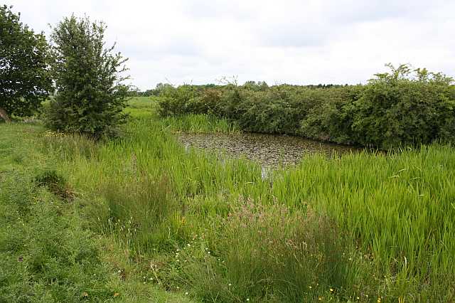 File:Ridley - Pond.jpg