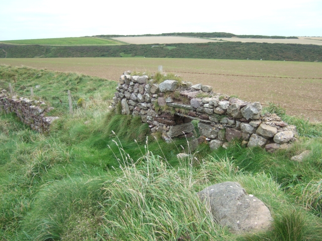 File:Ruined wall beside the coast path, Dale - geograph.org.uk - 1524935.jpg