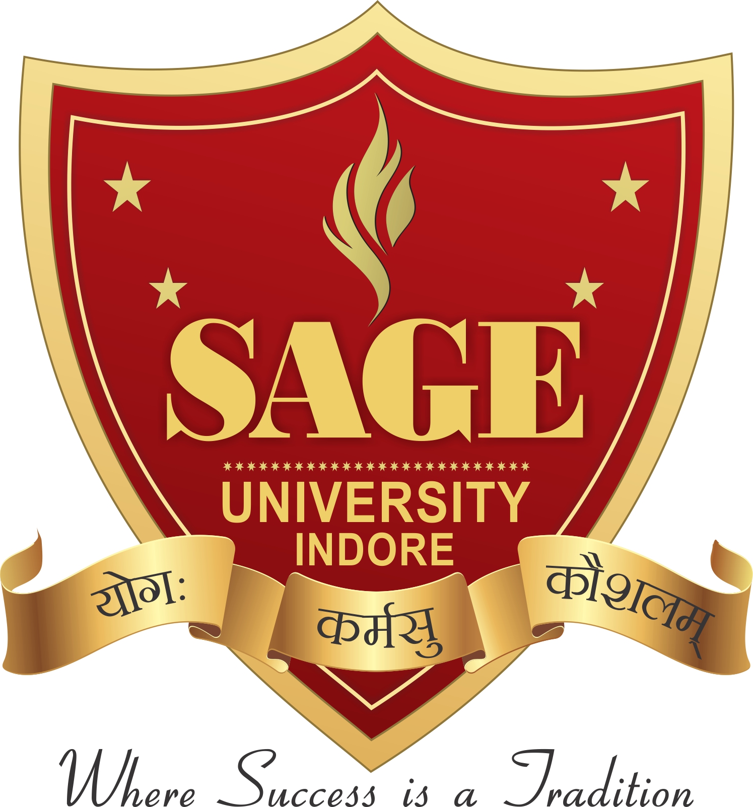 Pin by Feeroz Mansoor on #SAGE University Indore | University university,  University, Indore