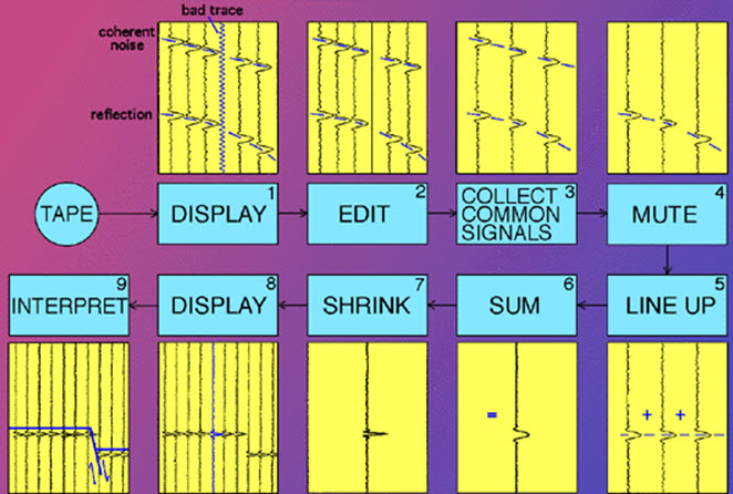 seismic processing