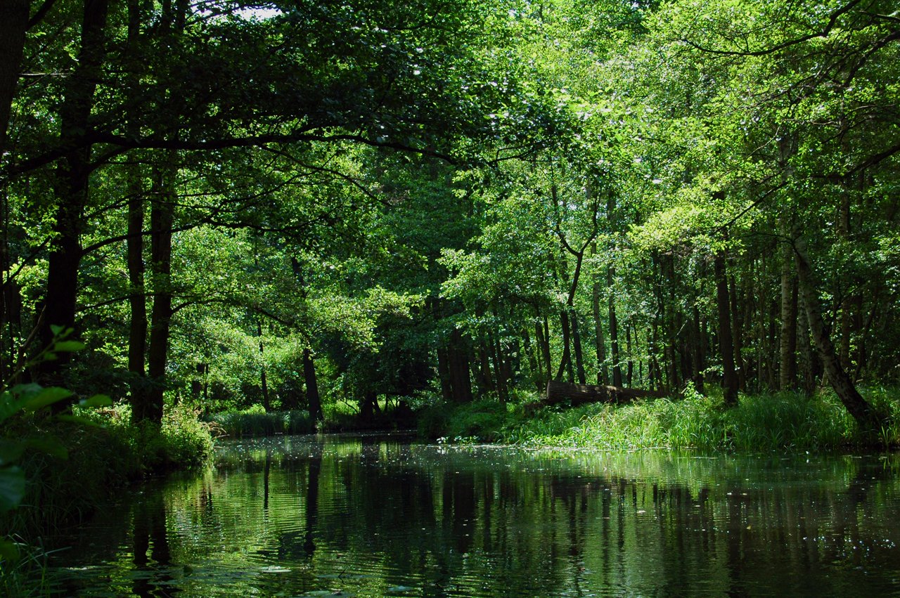 Strichmädchen Lübben (Spreewald)