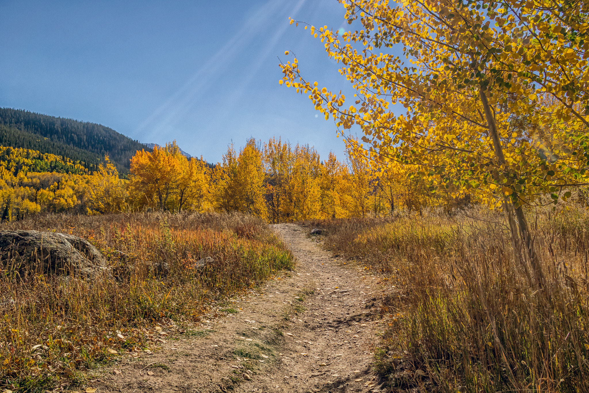 Golden roads