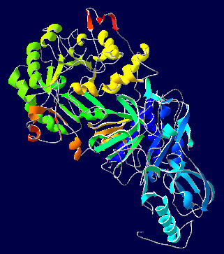 File:Urease-1E9Z.jpg