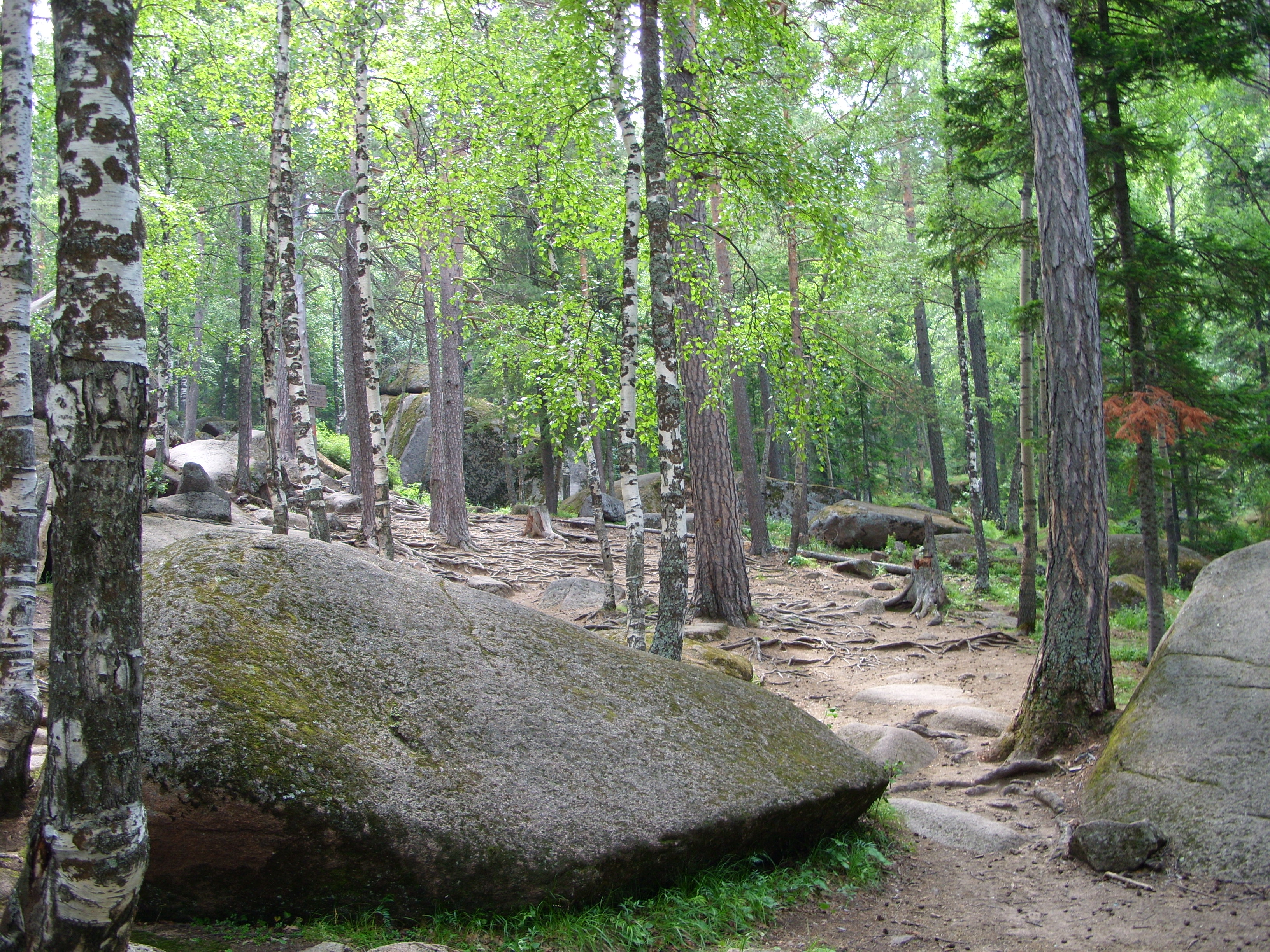 Ясная поляна железногорск красноярский край