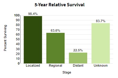 5-year relative survival by stage at diagnosis for melanoma of the skin in the United States as of 2014.