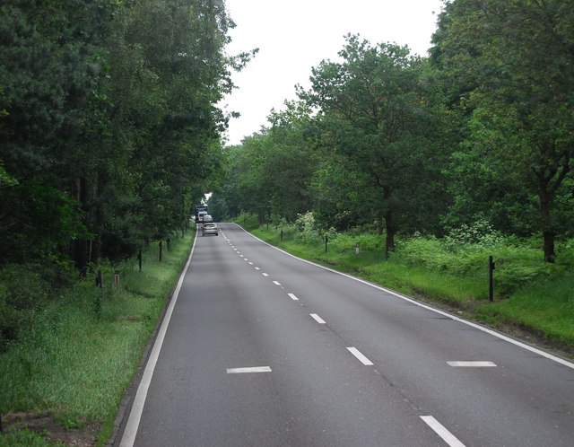 File:A11 - geograph.org.uk - 3348496.jpg