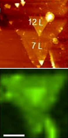 Correlative Raman imaging: Comparison of topographical (AFM, top) and Raman images of GaSe. Scale bar is 5 μm.[68]